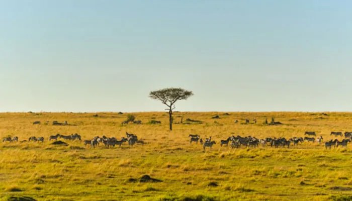 加纳是哪个国家 加纳属于哪个国家