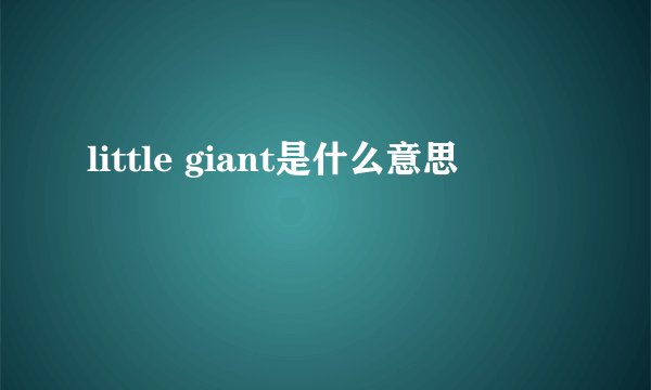 little giant是什么意思