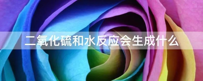 二氧化硫和水反应会生成什么