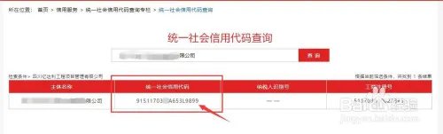 企业税号怎么查询