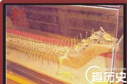 1934年营口坠龙事件 其中真相竟然是这样的