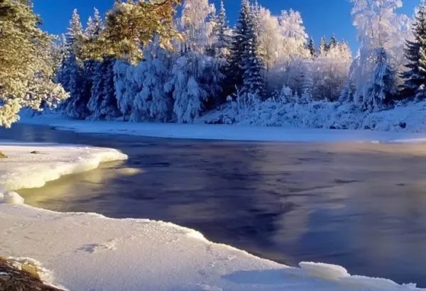 happy winter solstice什么意思