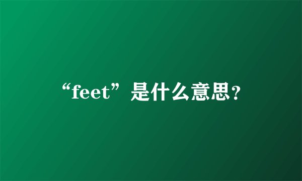“feet”是什么意思？