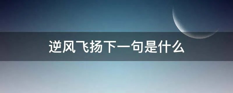 逆风飞扬下一句是什么