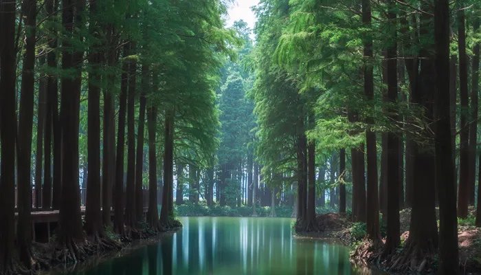 生态资源包括哪些方面 生态资源包括什么