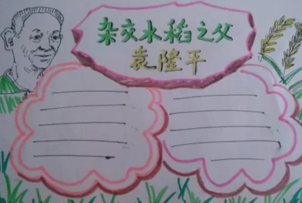 袁隆平手抄报怎么画图片大全