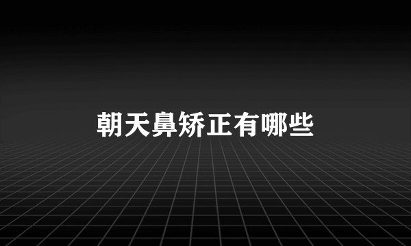 朝天鼻矫正有哪些