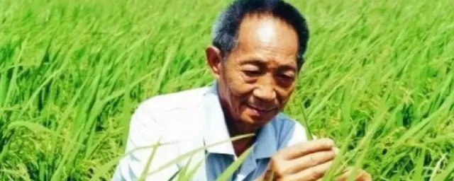 袁隆平的故事概括 袁隆平的个人简介