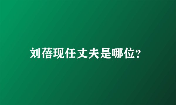 刘蓓现任丈夫是哪位？