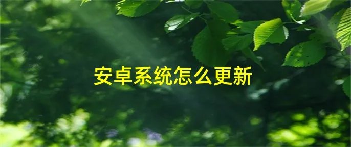 安卓系统怎么更新