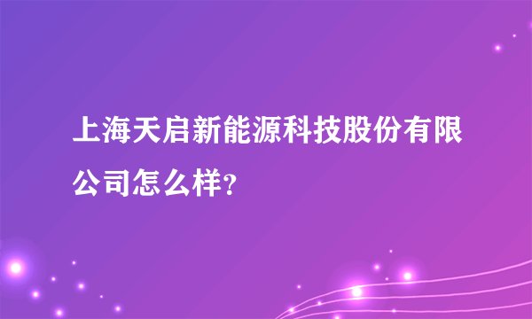 上海天启新能源科技股份有限公司怎么样？