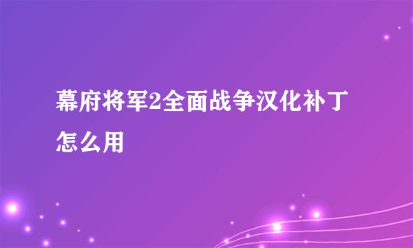 幕府将军2全面战争汉化补丁怎么用