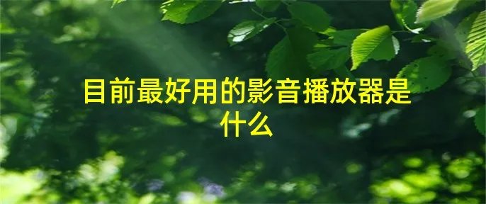 目前最好用的影音播放器是什么