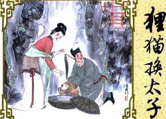 新包青天狸猫换太子是第几集