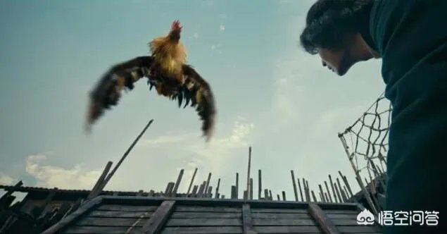 怒晴湘西中怒晴鸡怎么打不过六翅蜈蚣，它不是蜈蚣的克星吗？