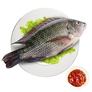 罗非鱼多少钱一斤