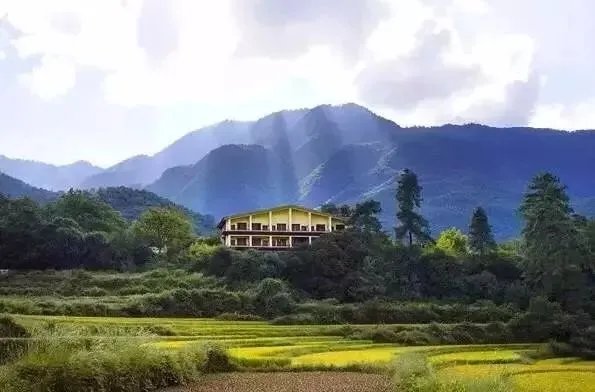 离开央视，藏族青年在海拔4000米打造云巅之家，潇洒！