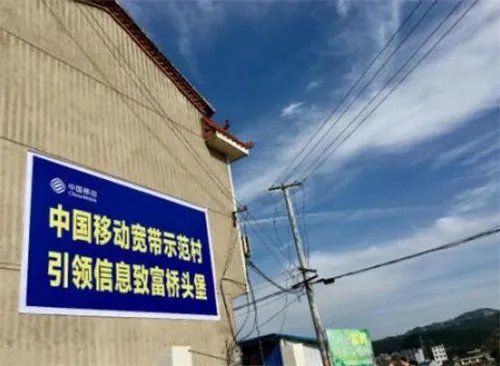 50m宽带够几个人用