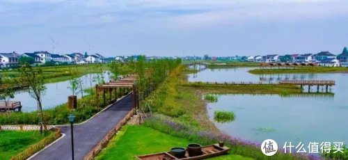 阳澄湖景区游玩攻略 阳澄湖莲花岛全攻略