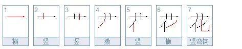 花的笔顺怎么写的