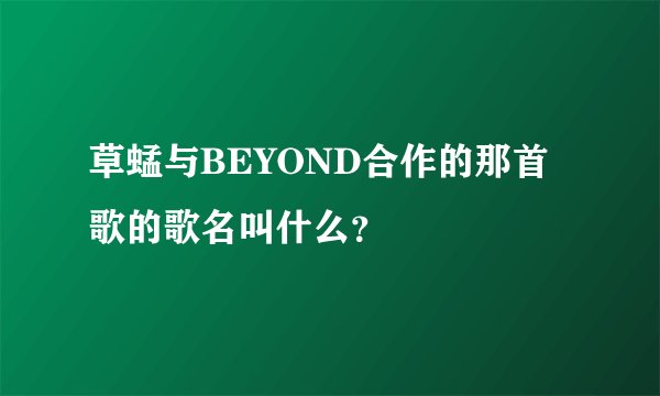 草蜢与BEYOND合作的那首歌的歌名叫什么？