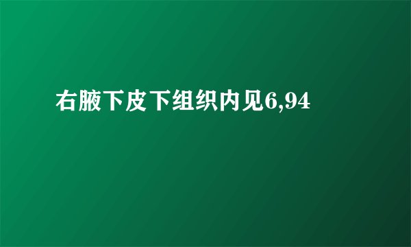 右腋下皮下组织内见6,94