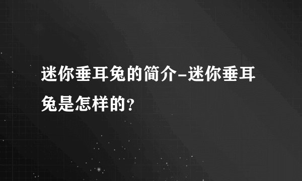 迷你垂耳兔的简介-迷你垂耳兔是怎样的？