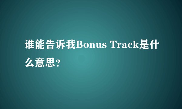 谁能告诉我Bonus Track是什么意思？