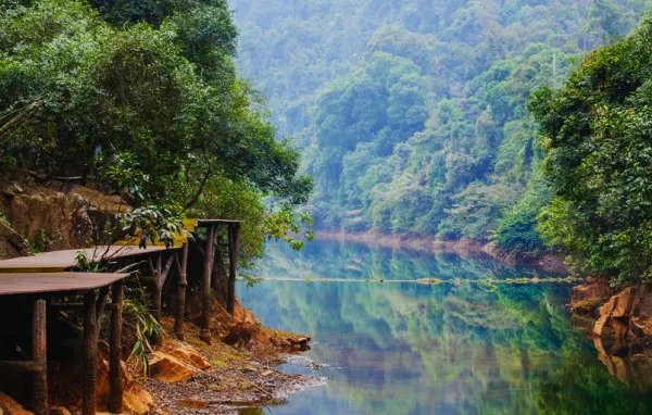 鼎湖山听泉的主要内容。