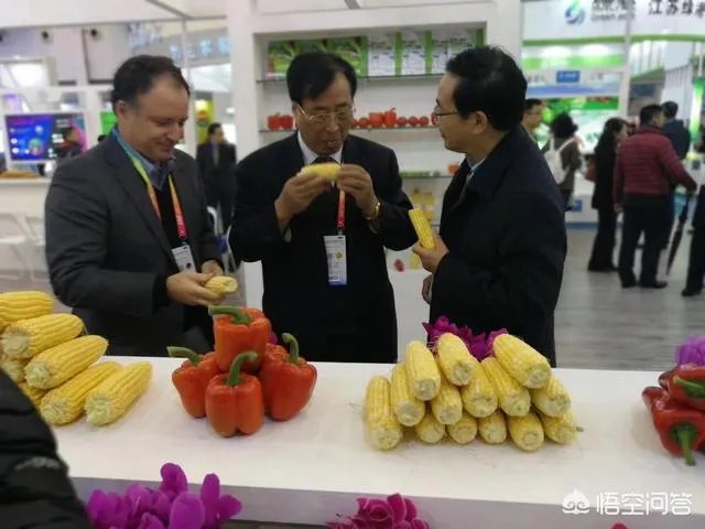 杨凌农高会有哪些新品种?