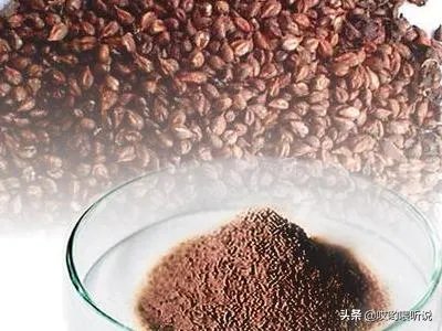 葡萄籽怎么吃？