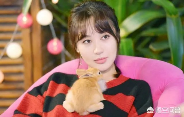 李菲儿是谁？为何近日频频上热搜？