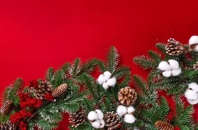 平安夜的由来故事