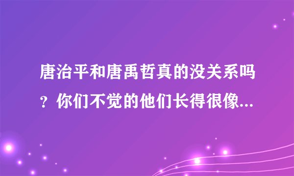 唐治平和唐禹哲真的没关系吗？你们不觉的他们长得很像吗....