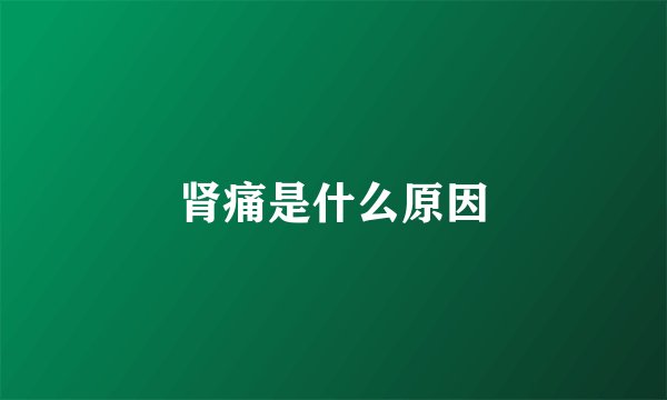 肾痛是什么原因