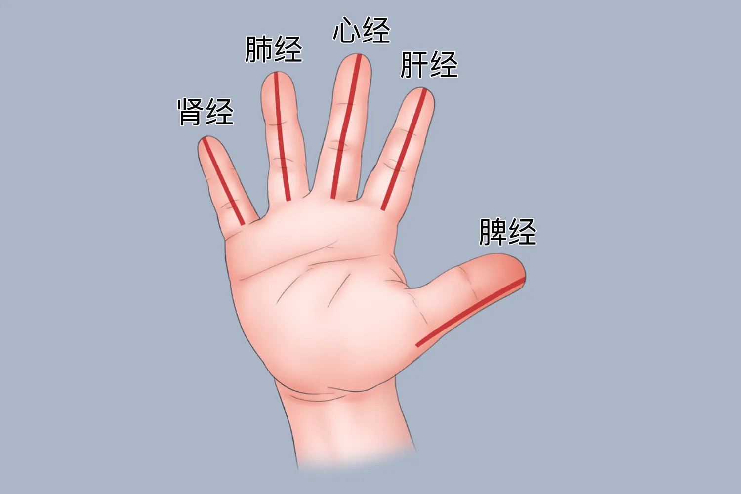 小儿推拿手指经络图解