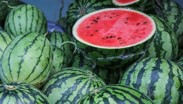 无籽西瓜的培育原理 无籽西瓜的培育原理是染色体变异吗