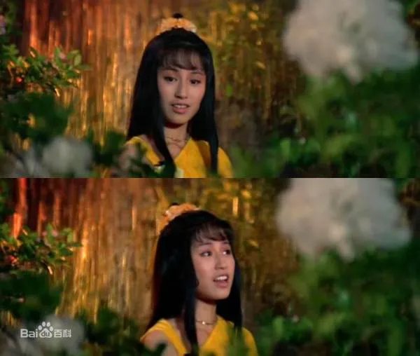 戴良纯的个人经历