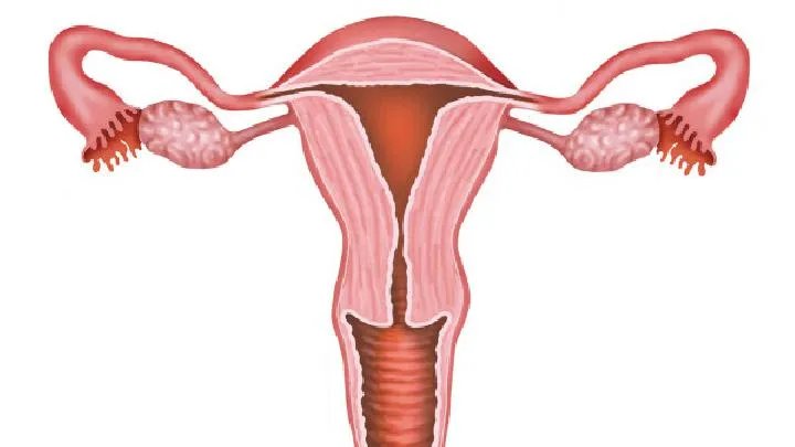 慢性附件炎要做什么检查?