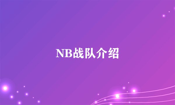 NB战队介绍