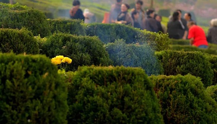 清明节扫墓的目的是什么 清明节扫墓的形式