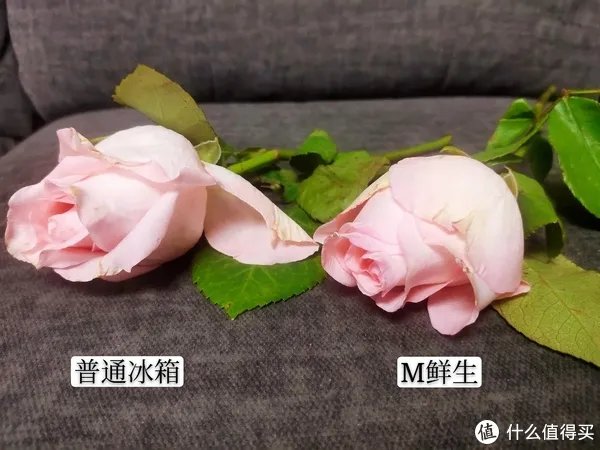 美菱冰箱怎么样