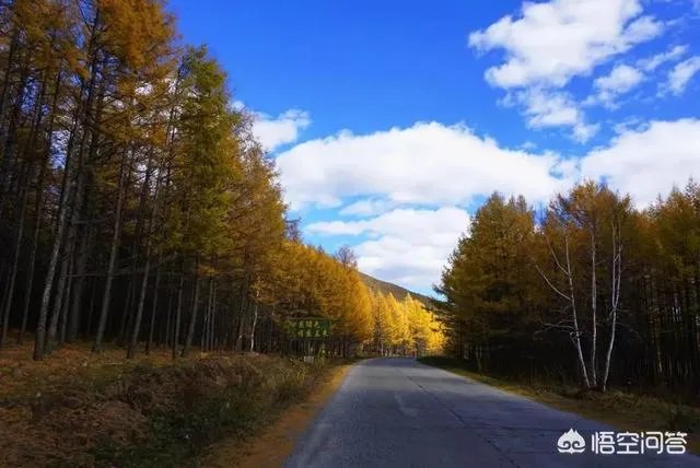 大兴安岭,这么美,你会去看看吗?