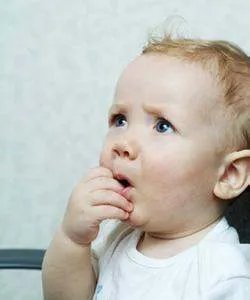 established什么意思