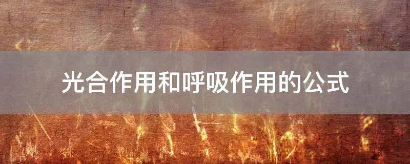 光合作用和呼吸作用的公式
