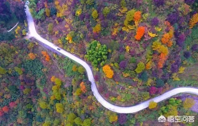 浙江有哪些适合自由行的景点？
