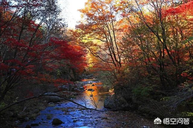 本溪的老边沟风景区风景优美吗？
