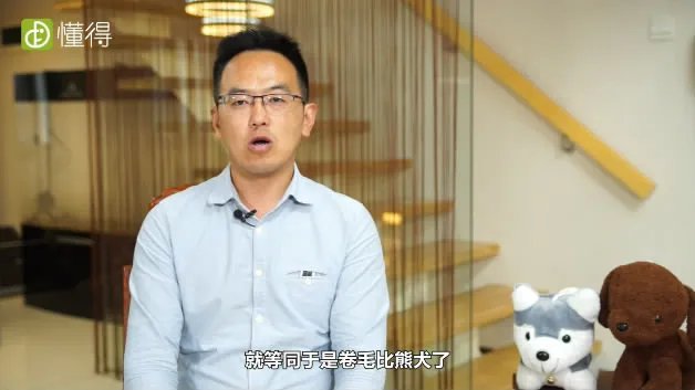 什么是卷毛比熊犬