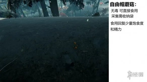 《森林》游戏植物有什么 the forest植物图鉴分享