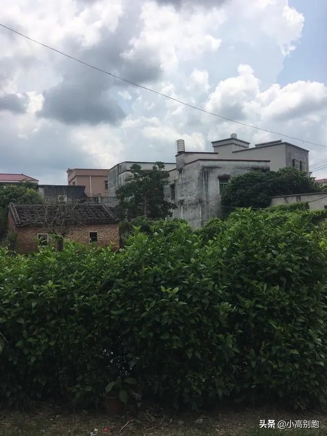 河南的人喜欢吃什么？